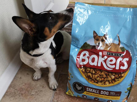 Bakers Complete Dog Food Purina